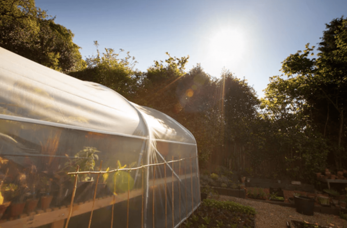 Nontoxic exterior paints for vegetable gardens