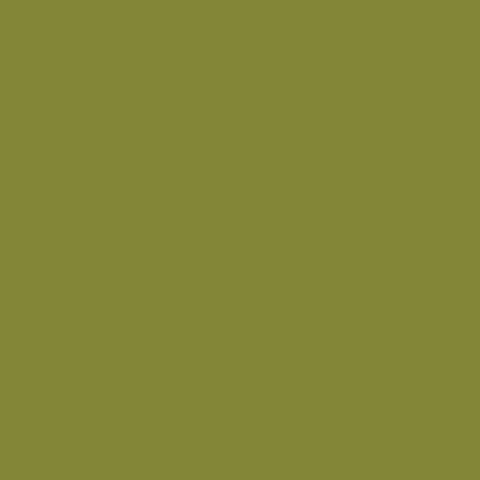 Olive - Natural Wall Paint Colour - The Organic and Natural Paint Company