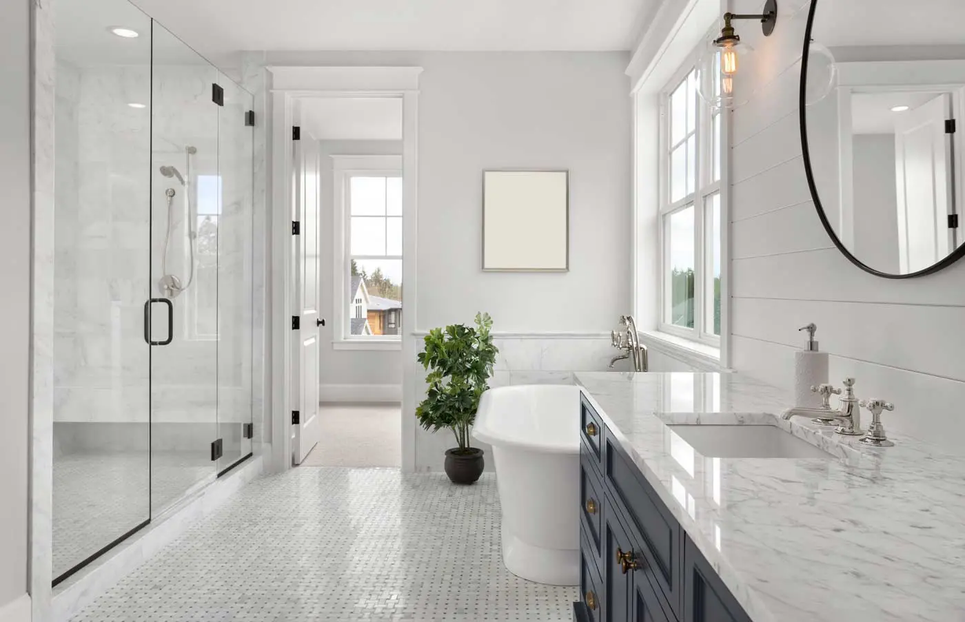 What are anti mould paints?