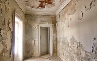 Can Breathable Paint Prevent Mould? 