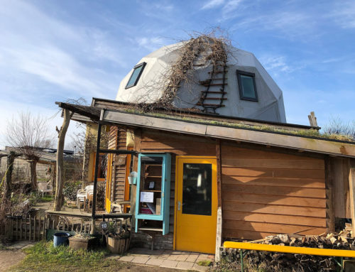 Build Your Own Earthship: the Ultimate Sustainable Home!