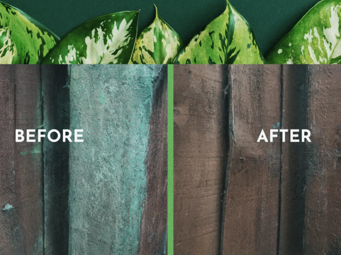 Patio cleaner - algon organic path patio cleaning examples