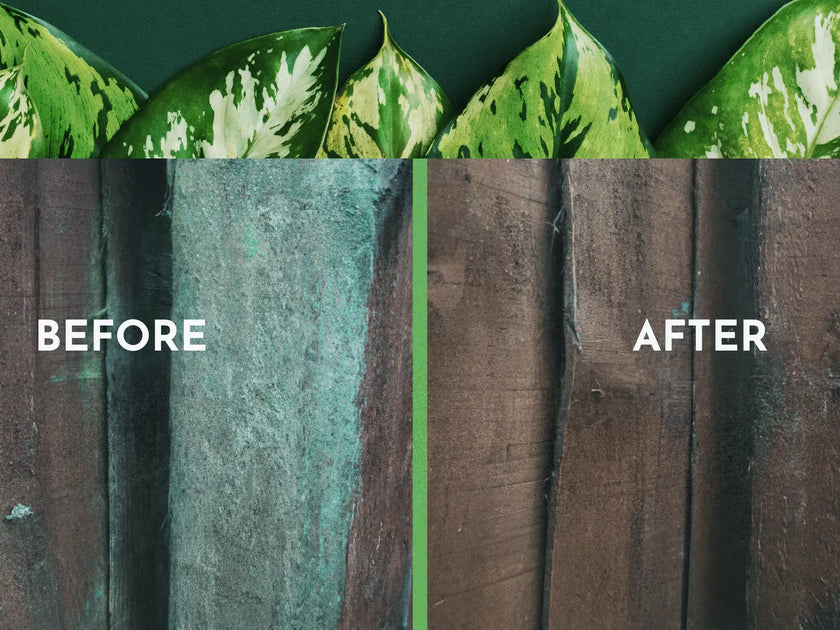 Patio cleaner - algon organic path patio cleaning examples